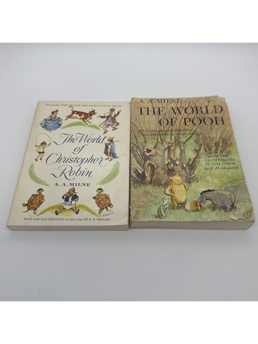 The World Of Pooh & The World Of Christopher Robin Paperback Books A.A. Milne